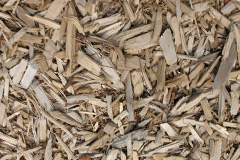 biomass boilers Beausale